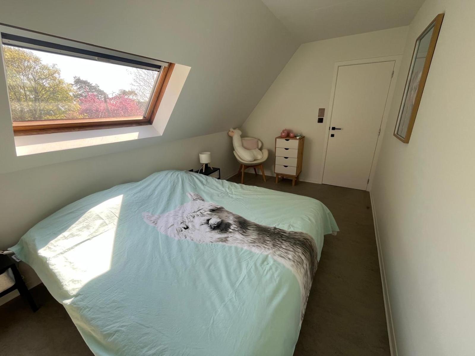 Vila Gt Lounge Heusden-Zolder Exteriér fotografie